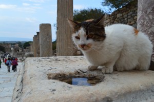 Dr Philip Dodgson Derby - somewhere in Greece