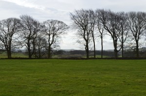 Dr Philip Dodgson Derby - Arbor Low - Minninglow through Trees