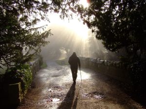 Dr Philip Dodgson derby - Fountains Abbey